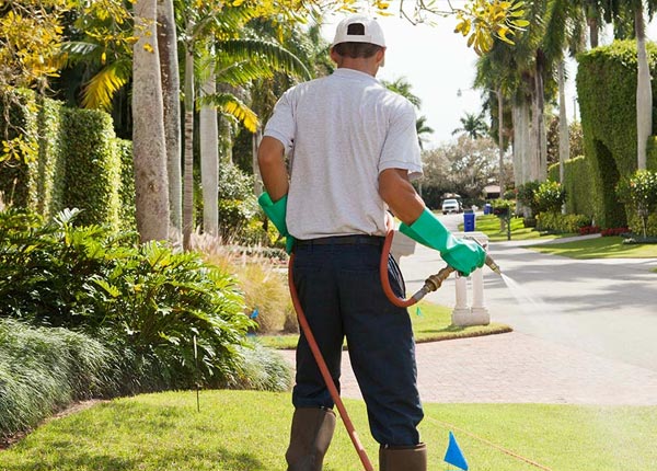 About Everetts NC Pest Control